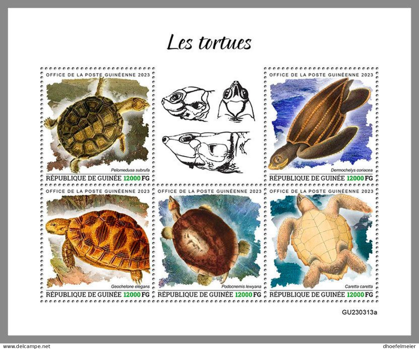 GUINEA REP. 2023 MNH Turtles Schildkröten M/S – OFFICIAL ISSUE – DHQ2417 - Schildpadden