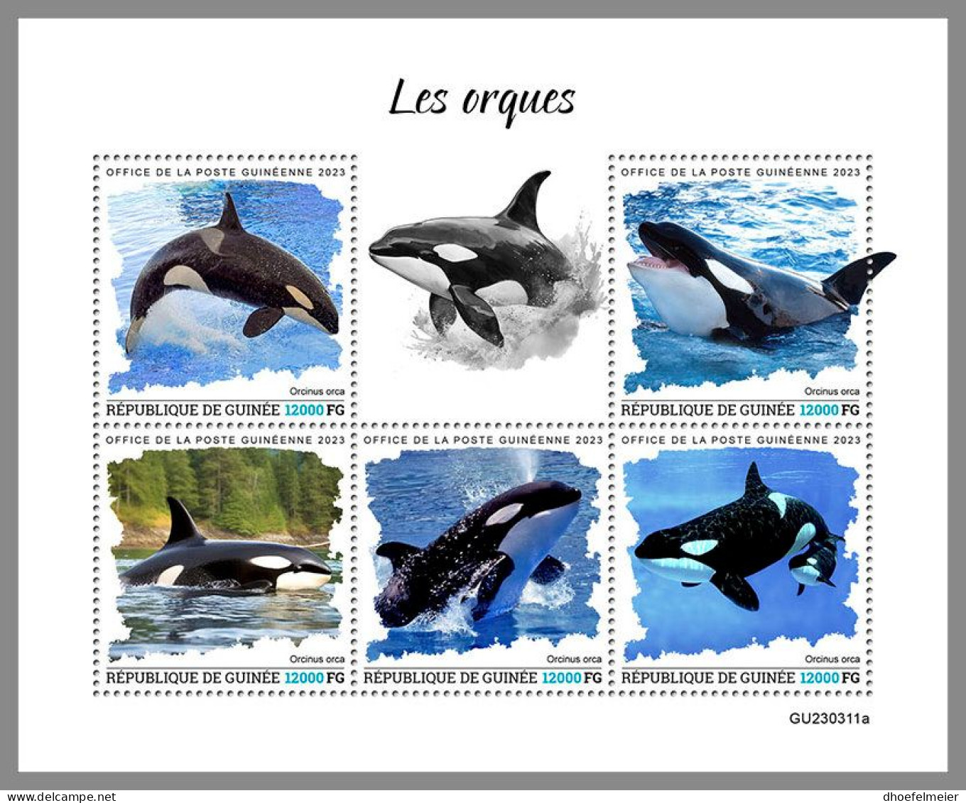 GUINEA REP. 2023 MNH Orcas Whales Wale M/S – OFFICIAL ISSUE – DHQ2417 - Whales