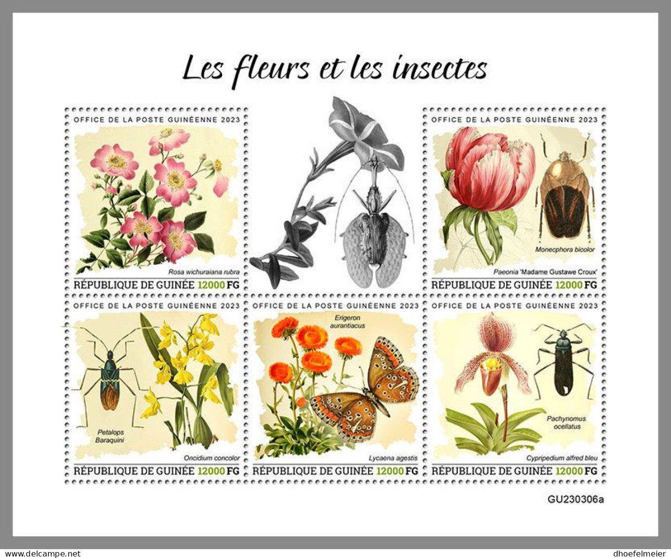 GUINEA REP. 2023 MNH Flowers Insects Blumen Insekten M/S – OFFICIAL ISSUE – DHQ2417 - Sonstige & Ohne Zuordnung