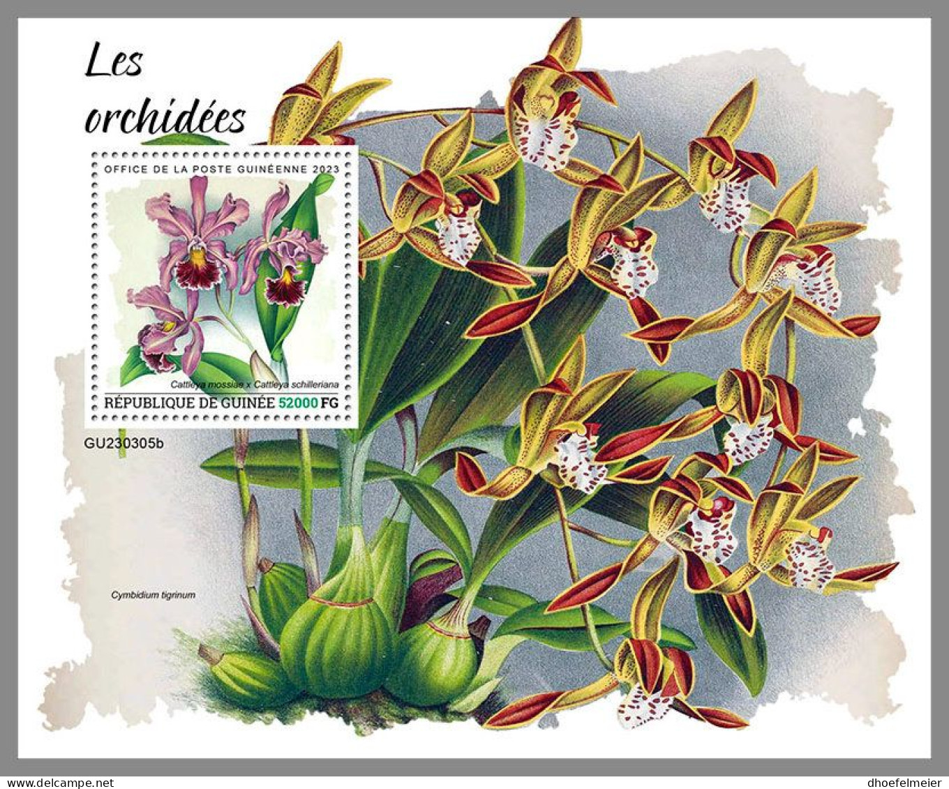 GUINEA REP. 2023 MNH Orchids Orchideen S/S – OFFICIAL ISSUE – DHQ2417 - Orquideas