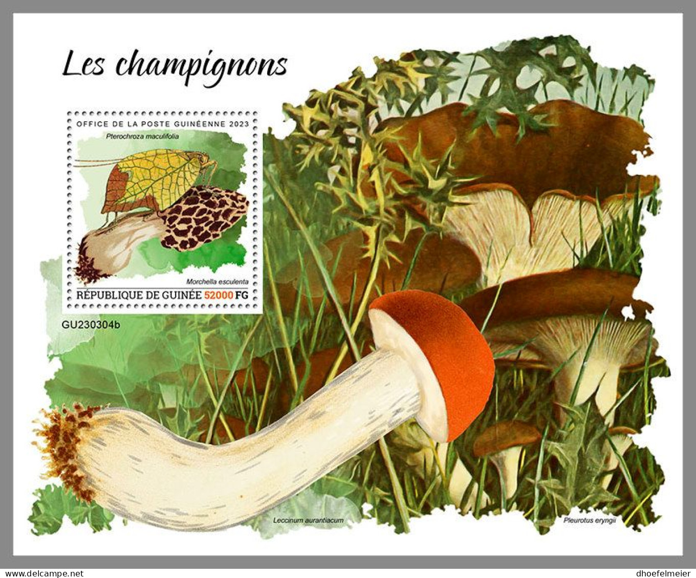 GUINEA REP. 2023 MNH Mushrooms Pilze S/S – OFFICIAL ISSUE – DHQ2417 - Pilze