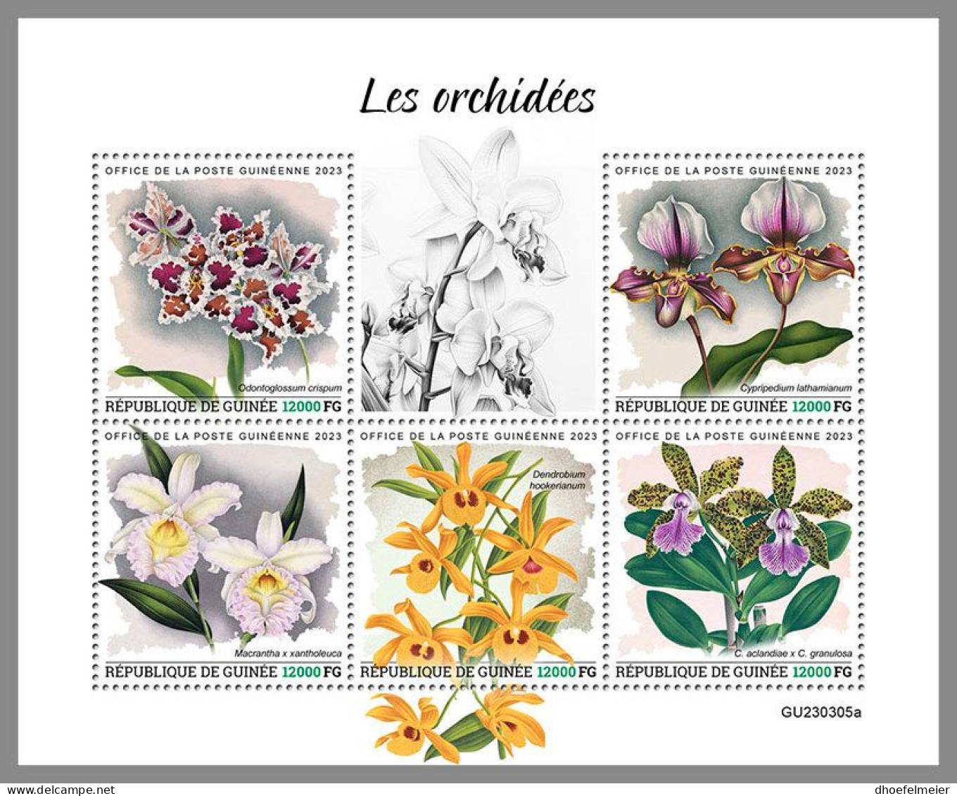 GUINEA REP. 2023 MNH Orchids Orchideen M/S – OFFICIAL ISSUE – DHQ2417 - Orchidee