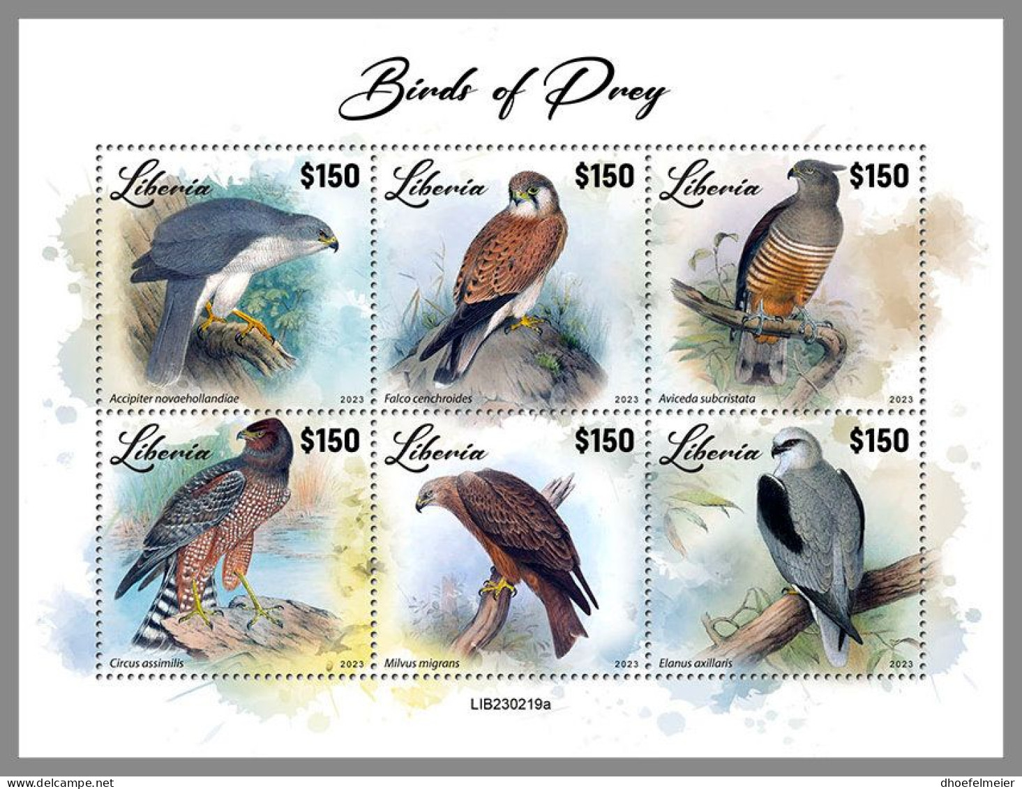 LIBERIA 2023 MNH Birds Of Preys Greifvögel Raubvögel M/S – OFFICIAL ISSUE – DHQ2417 - Arends & Roofvogels
