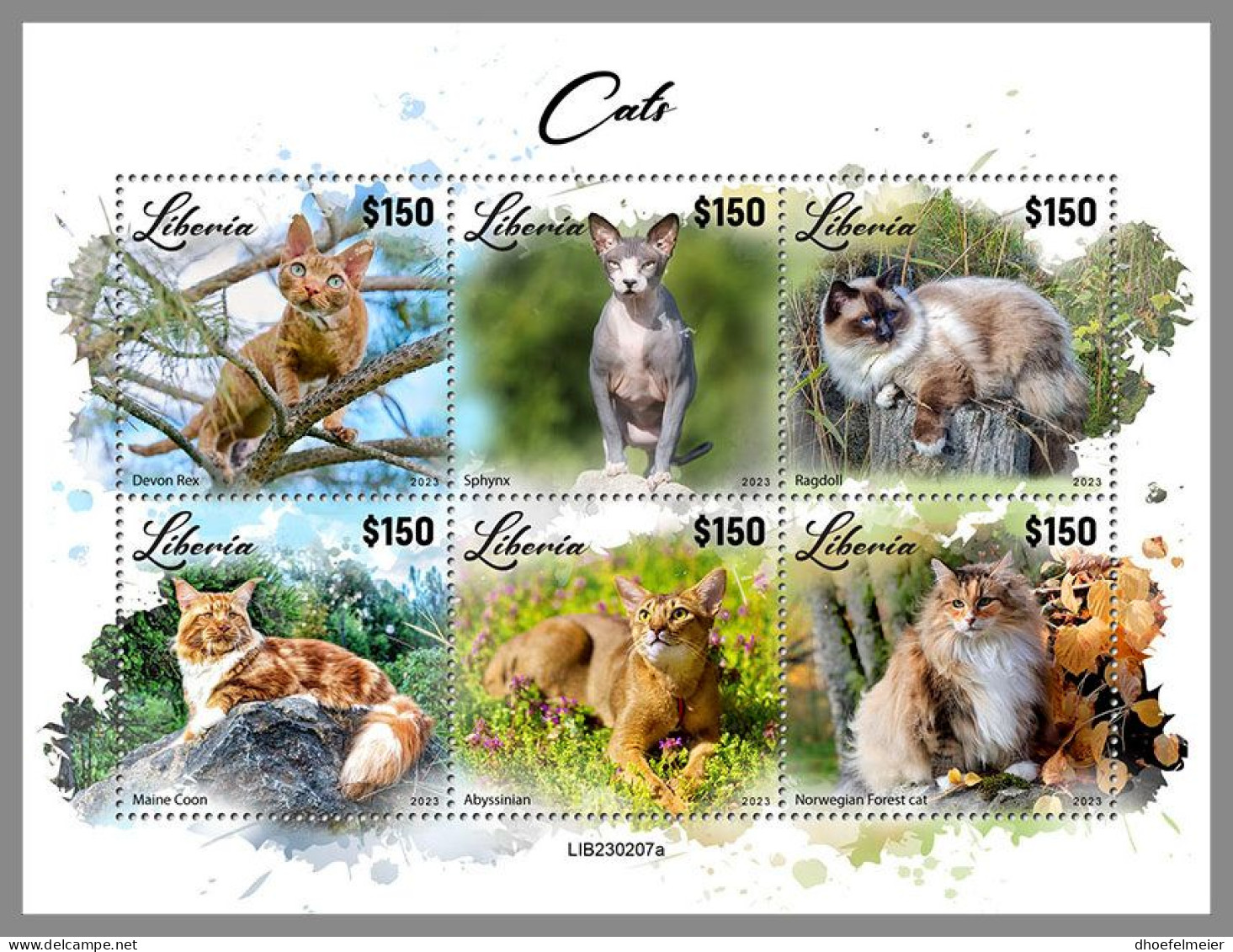 LIBERIA 2023 MNH Cats Katzen M/S – OFFICIAL ISSUE – DHQ2417 - Hauskatzen