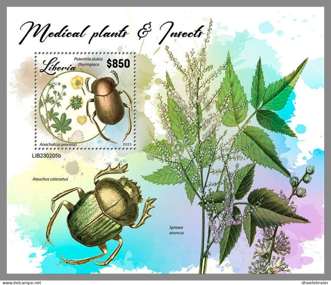 LIBERIA 2023 MNH Medical Plants Heilpflanzen Insects S/S – OFFICIAL ISSUE – DHQ2417 - Plantas Medicinales