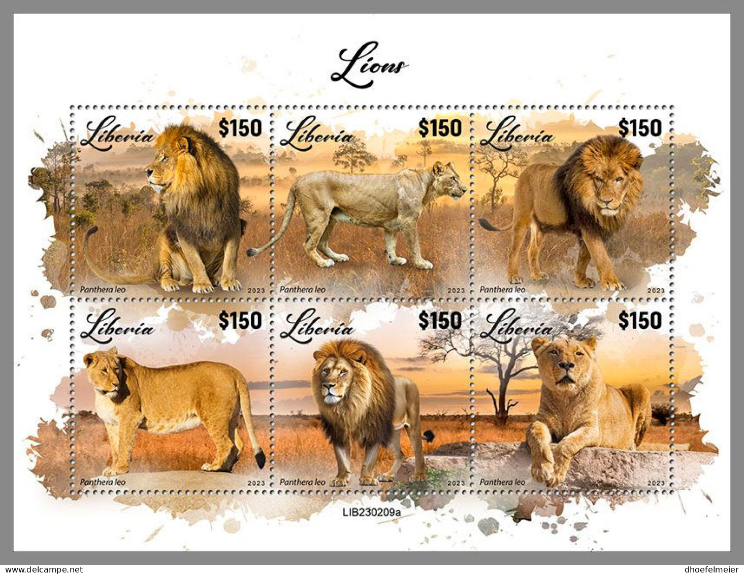 LIBERIA 2023 MNH Lions Löwen M/S – OFFICIAL ISSUE – DHQ2417 - Big Cats (cats Of Prey)