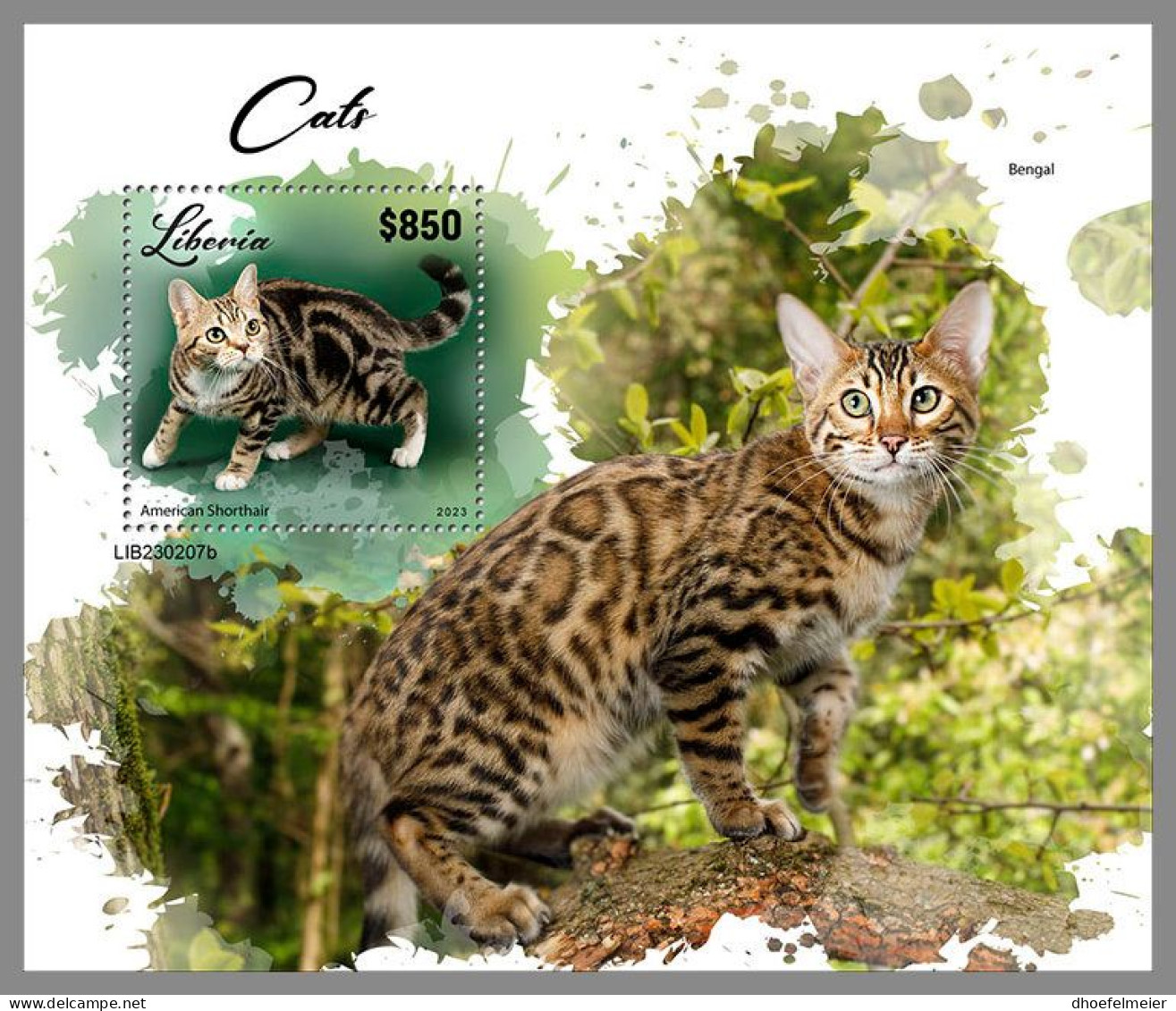 LIBERIA 2023 MNH Cats Katzen S/S – OFFICIAL ISSUE – DHQ2417 - Katten