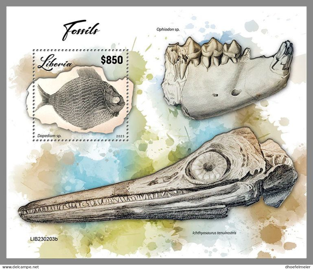 LIBERIA 2023 MNH Fossils Fossilien S/S – OFFICIAL ISSUE – DHQ2417 - Fossielen