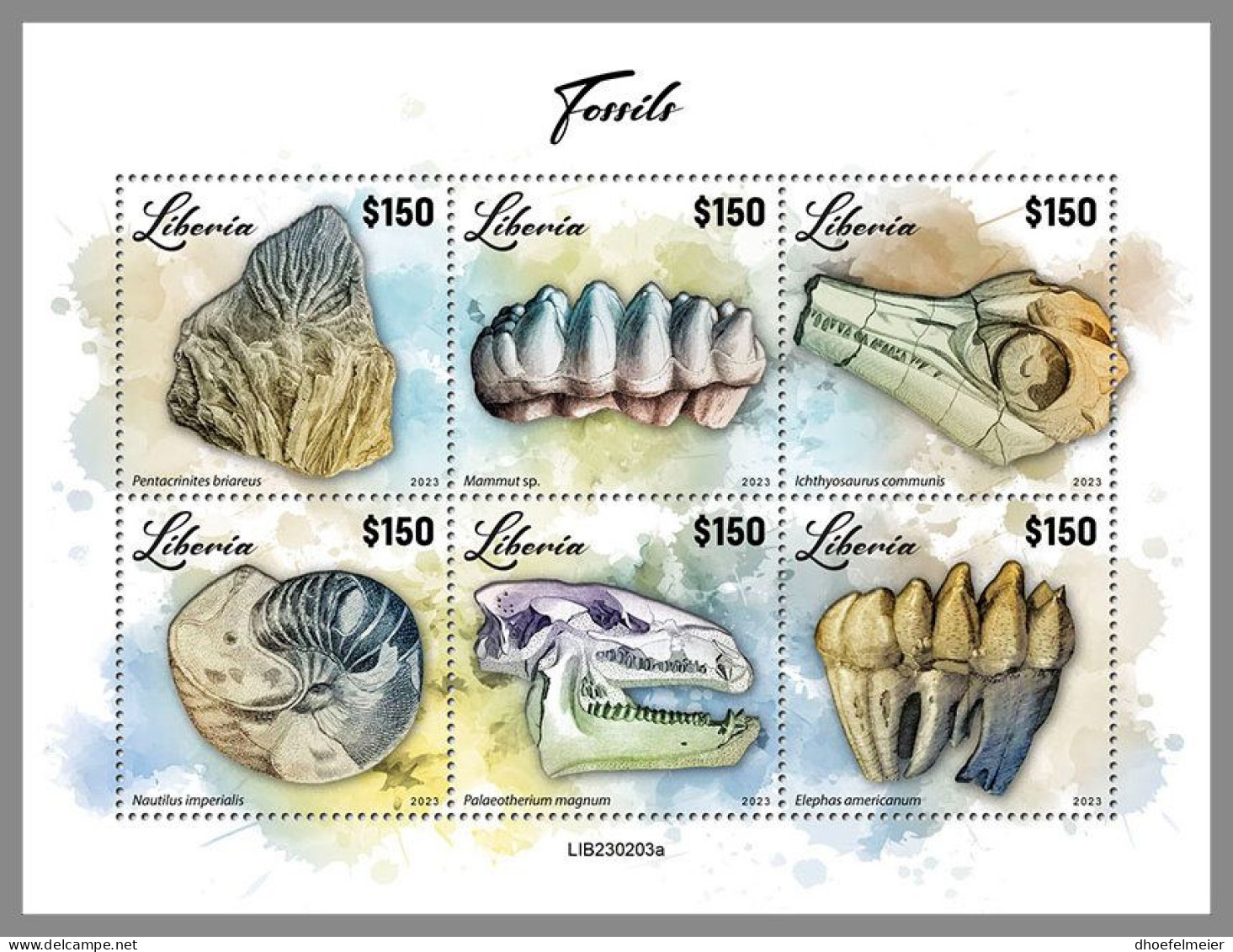 LIBERIA 2023 MNH Fossils Fossilien M/S – OFFICIAL ISSUE – DHQ2417 - Fósiles