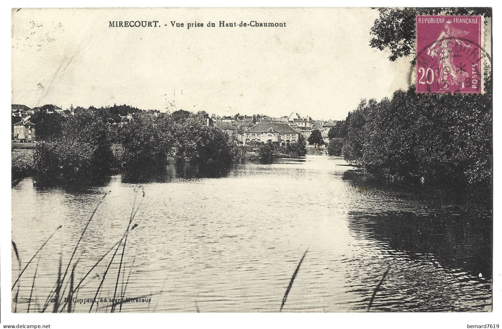 88 Mirecourt- Vue Prise Du Haut De Chaumont - Mirecourt