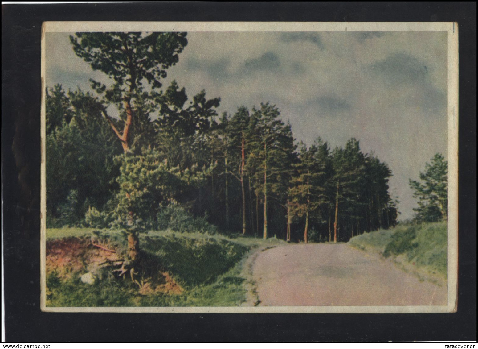 Post Card Lithuania LT Pc 115 Road To ANYKSCIAI 1955 - Litouwen