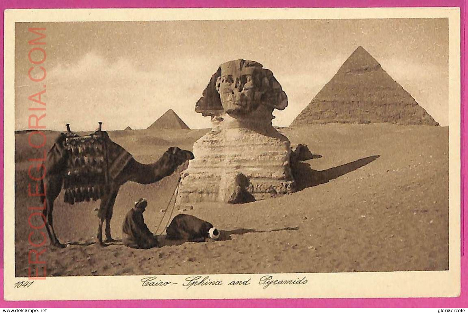 Ag2961 - EGYPT - VINTAGE POSTCARD - Cairo, The Pyramids - Le Caire