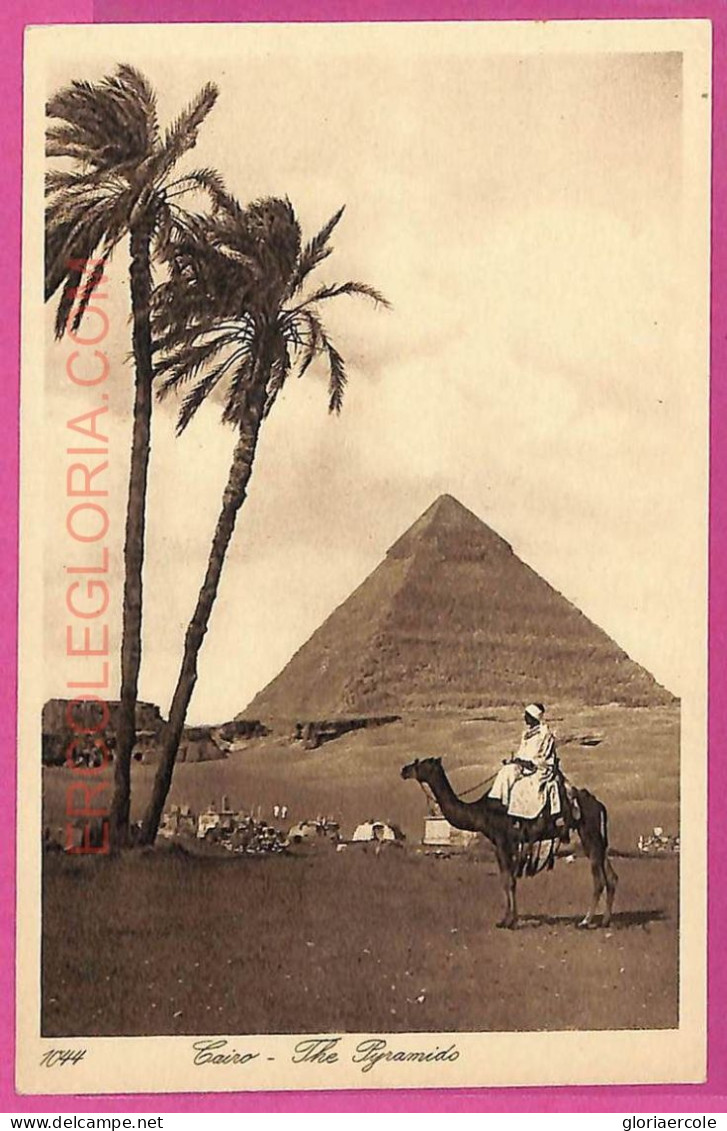 Ag2965 - EGYPT - VINTAGE POSTCARD - Cairo - Caïro