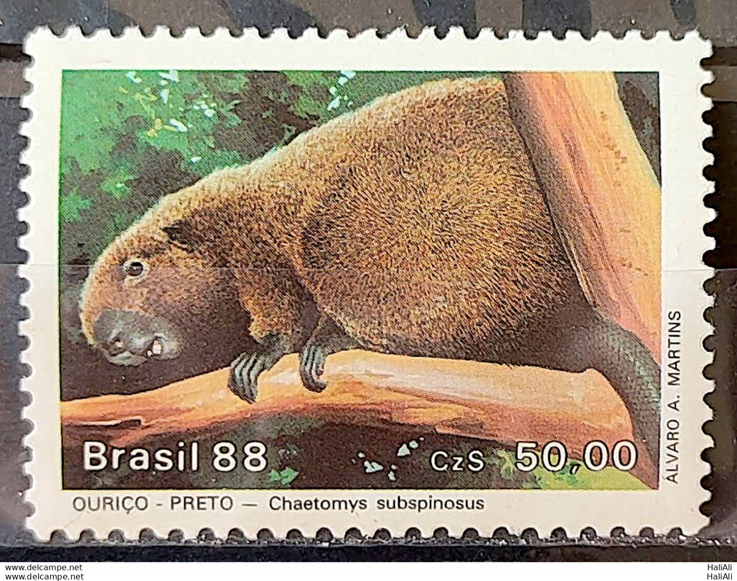 C 1592 Brazil Stamp Fauna Mammals In Extinguishing Black Hedgehog 1988 2 - Ungebraucht