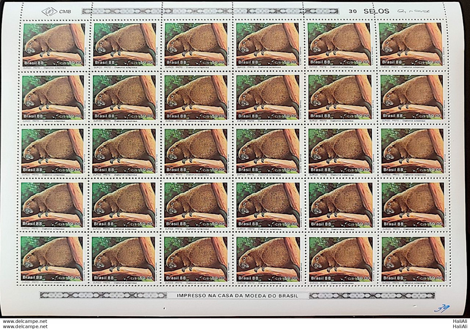 C 1592 Brazil Stamp Fauna Mammals In Extinguishing Black Hedgehog 1988 Sheet - Ungebraucht