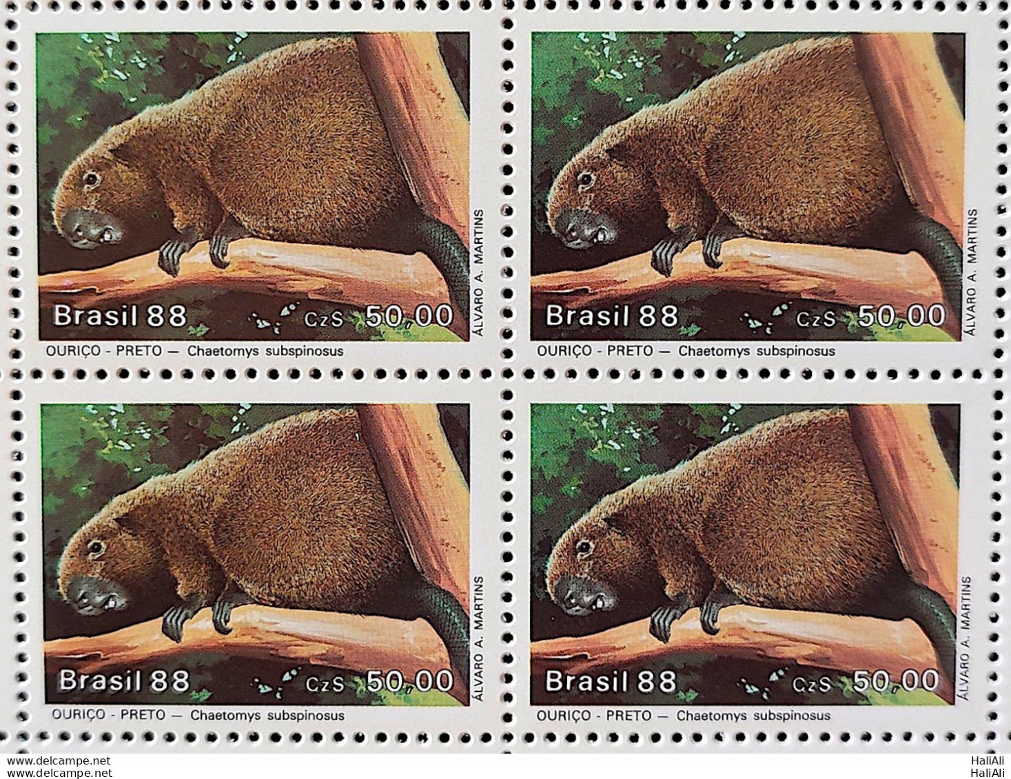 C 1592 Brazil Stamp Fauna Mammals In Extinguishing Black Hedgehog 1988 Block Of 4 - Ungebraucht