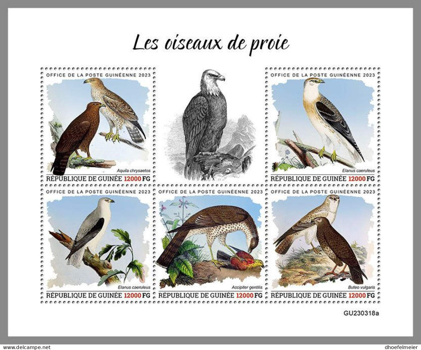 GUINEA REP. 2023 MNH Birds Of Prey Greifvögel Raubvögel M/S – IMPERFORATED – DHQ2417 - Arends & Roofvogels