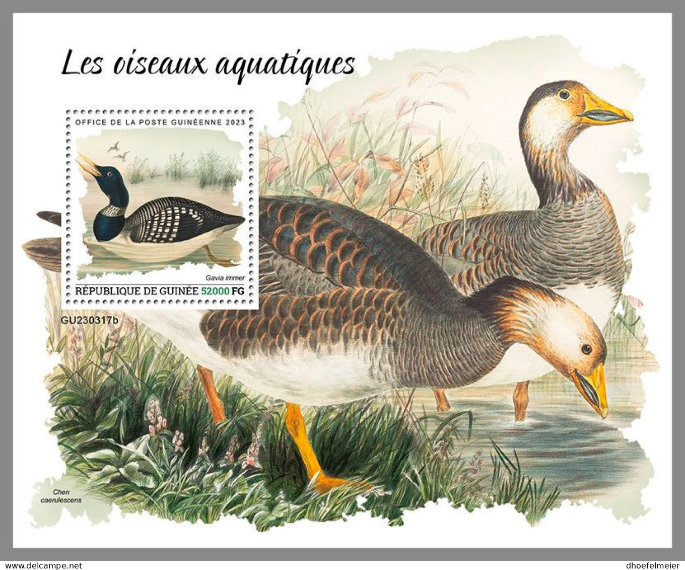 GUINEA REP. 2023 MNH Water Birds Wasservögel S/S – IMPERFORATED – DHQ2417 - Autres & Non Classés