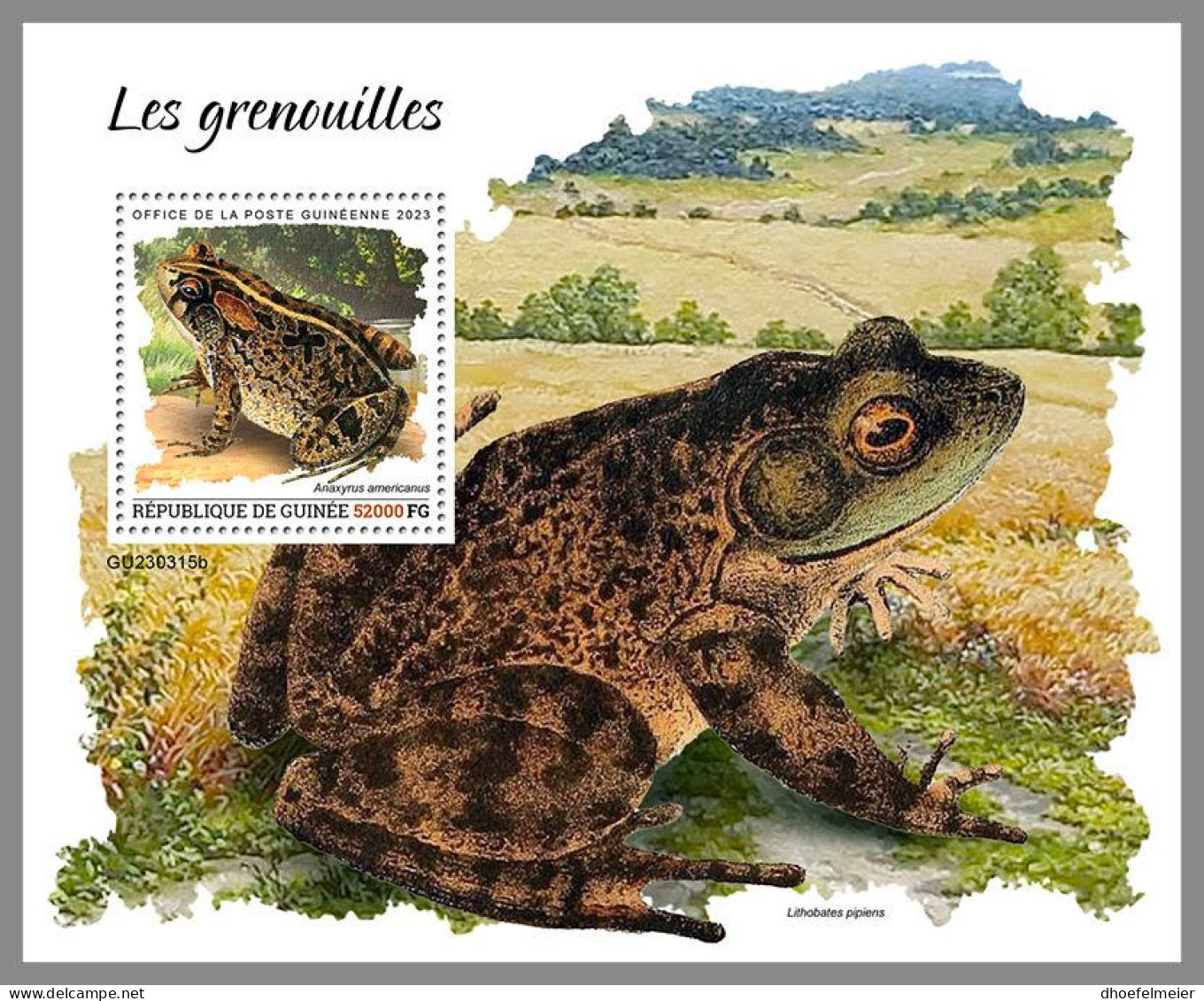 GUINEA REP. 2023 MNH Frogs Frösche S/S – IMPERFORATED – DHQ2417 - Frogs