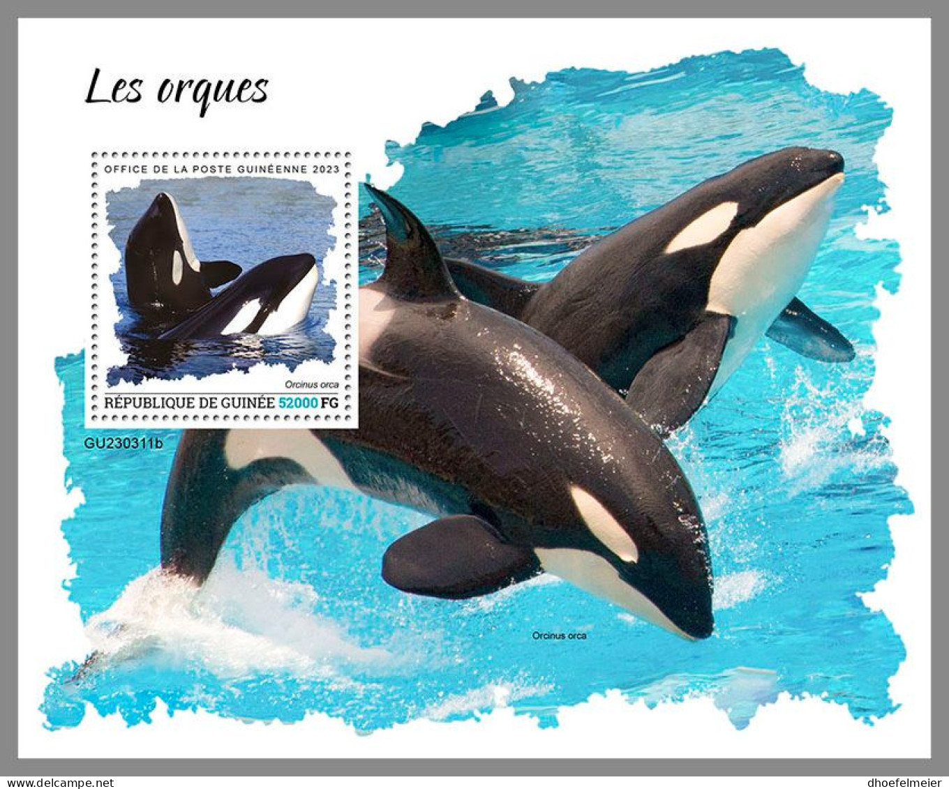 GUINEA REP. 2023 MNH Orcas Whales Wale S/S – IMPERFORATED – DHQ2417 - Wale