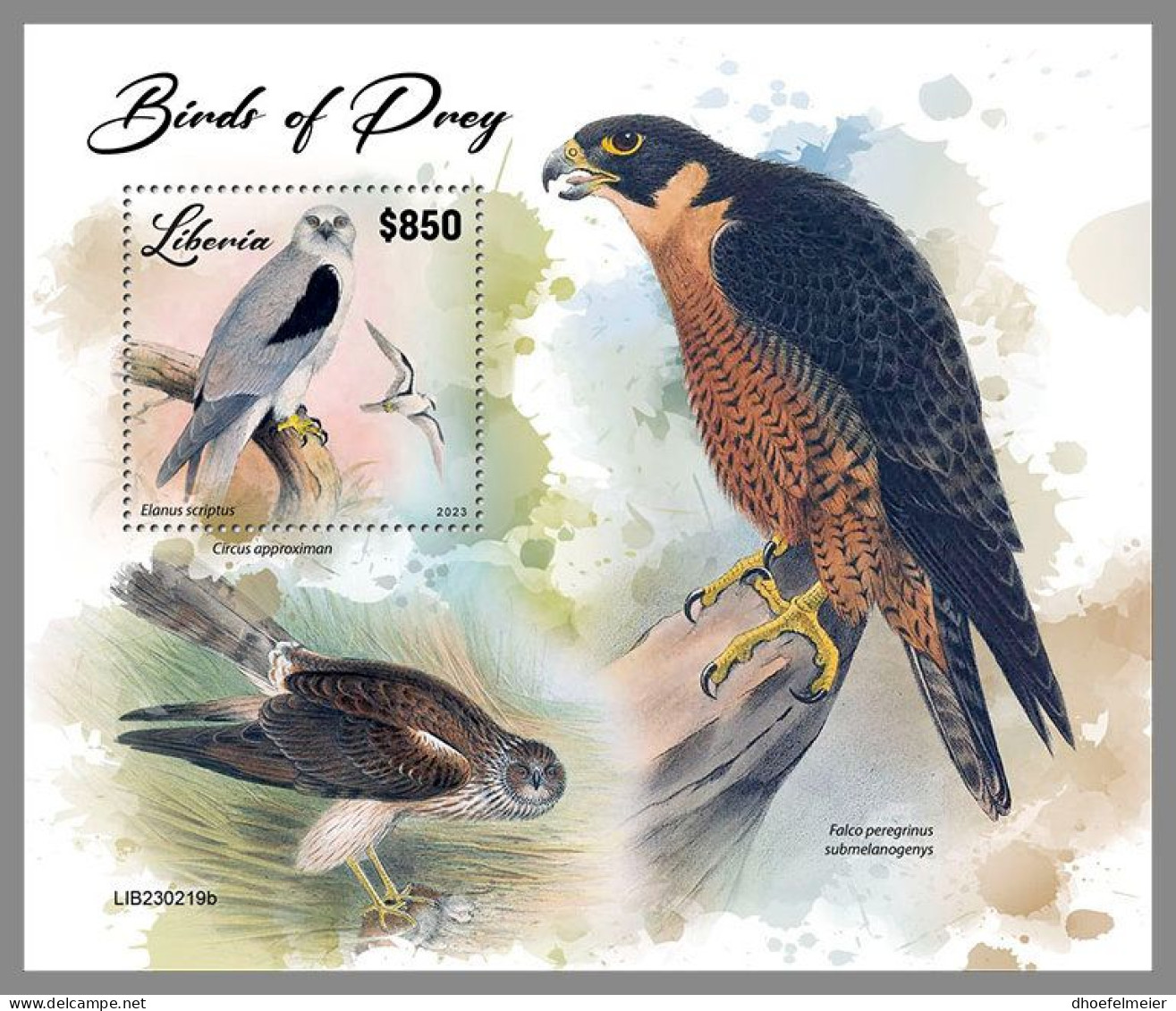 LIBERIA 2023 MNH Birds Of Preys Greifvögel Raubvögel S/S – IMPERFORATED – DHQ2417 - Aquile & Rapaci Diurni