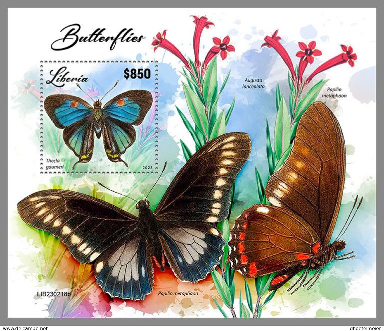 LIBERIA 2023 MNH Butterflies Schmetterlinge S/S – IMPERFORATED – DHQ2417 - Papillons