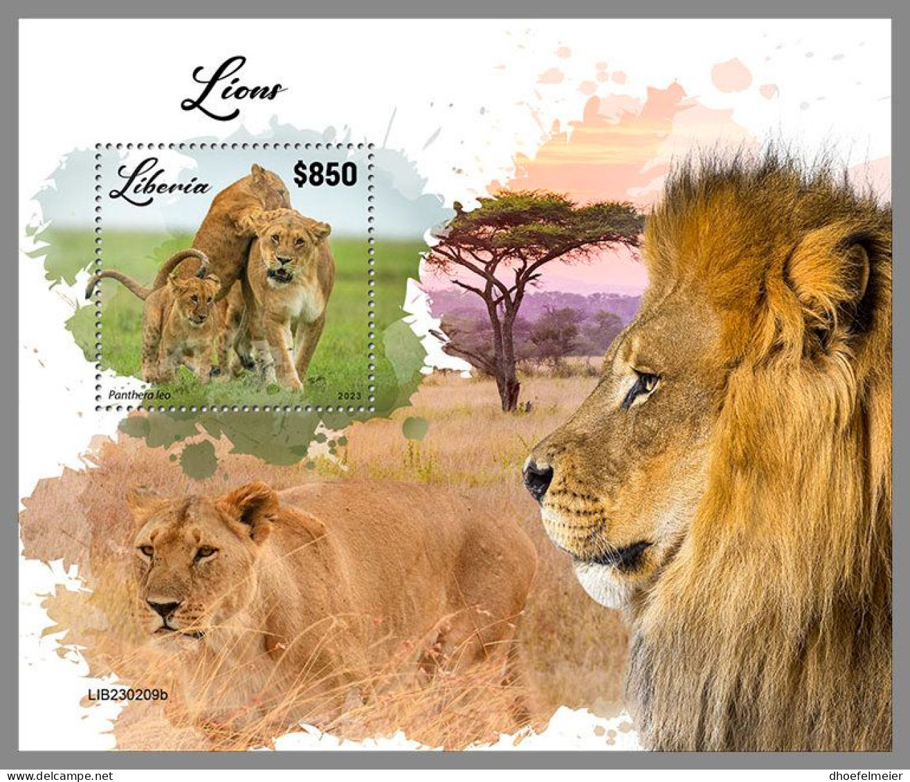 LIBERIA 2023 MNH Lions Löwen S/S – IMPERFORATED – DHQ2417 - Roofkatten