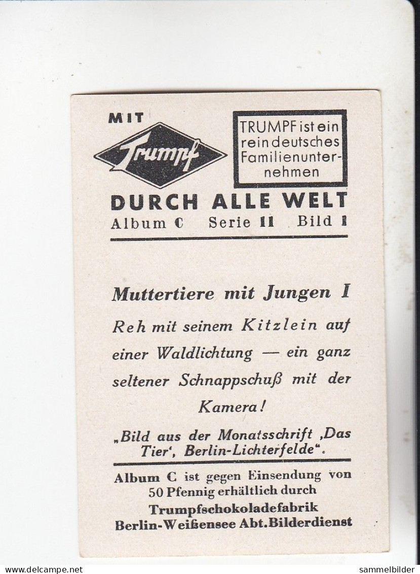 Mit Trumpf Durch Alle Welt Muttertiere Mit Jungen I Reh Und Kitzlein     C Serie 11 # 1 Von 1934 - Sigarette (marche)