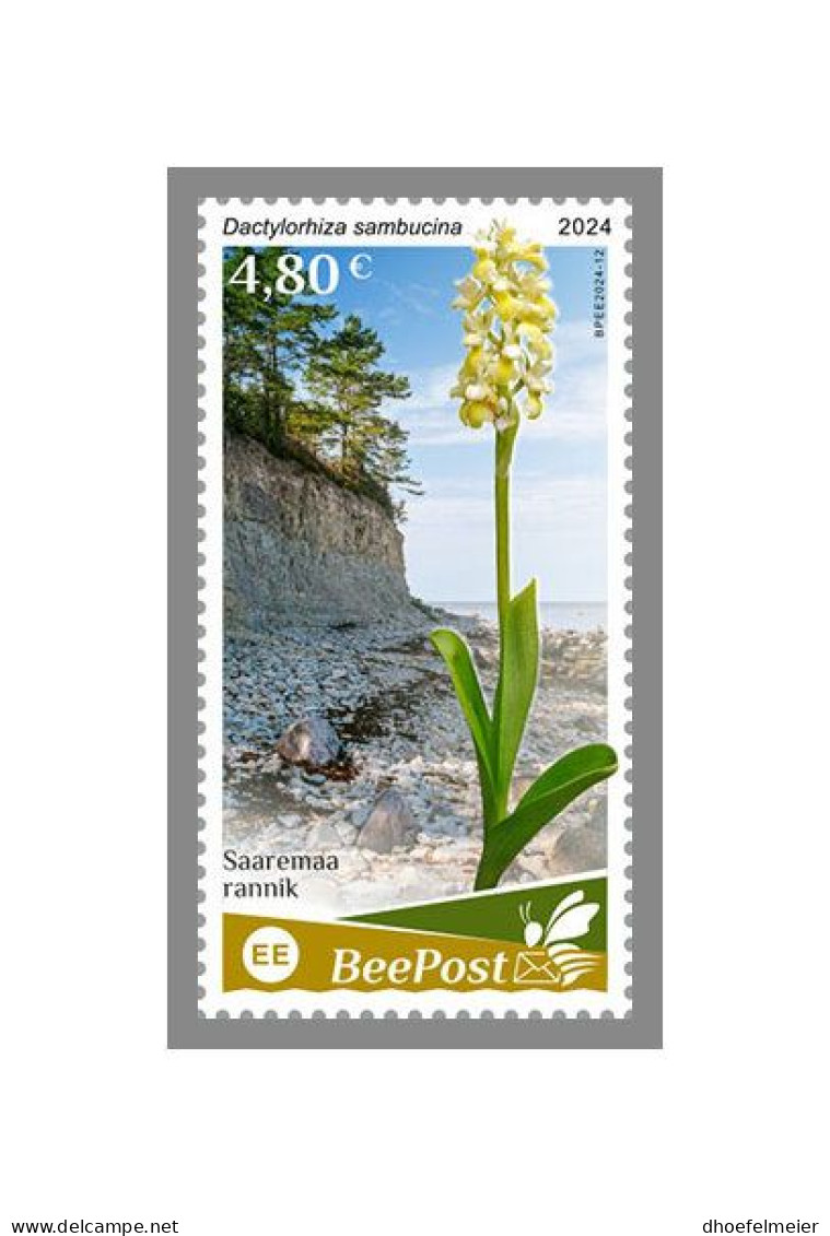 ESTONIA-BEEPOST 2024 MNH Flowers Blumen Dactylorhiza Sambucina 1v – PRIVATE OPERATOR – DHQ2417 - Sonstige & Ohne Zuordnung