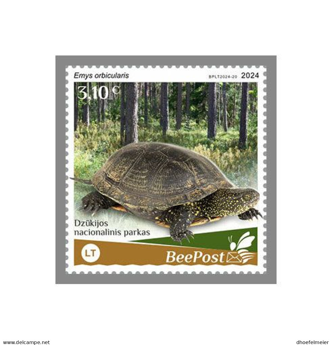 LITHUANIA-BEEPOST 2024 MNH Turtle Schildkröte Emys Orbicularis 1v – PRIVATE OPERATOR – DHQ2417 - Turtles