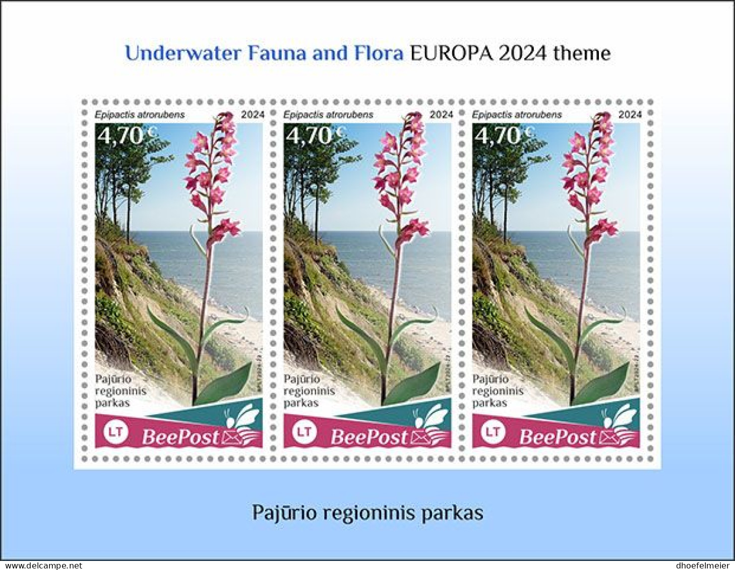 LITHUANIA-BEEPOST 2024 MNH Flowers Blumen Epipactis Atrorubens M/S – PRIVATE OPERATOR – DHQ2417 - Other & Unclassified