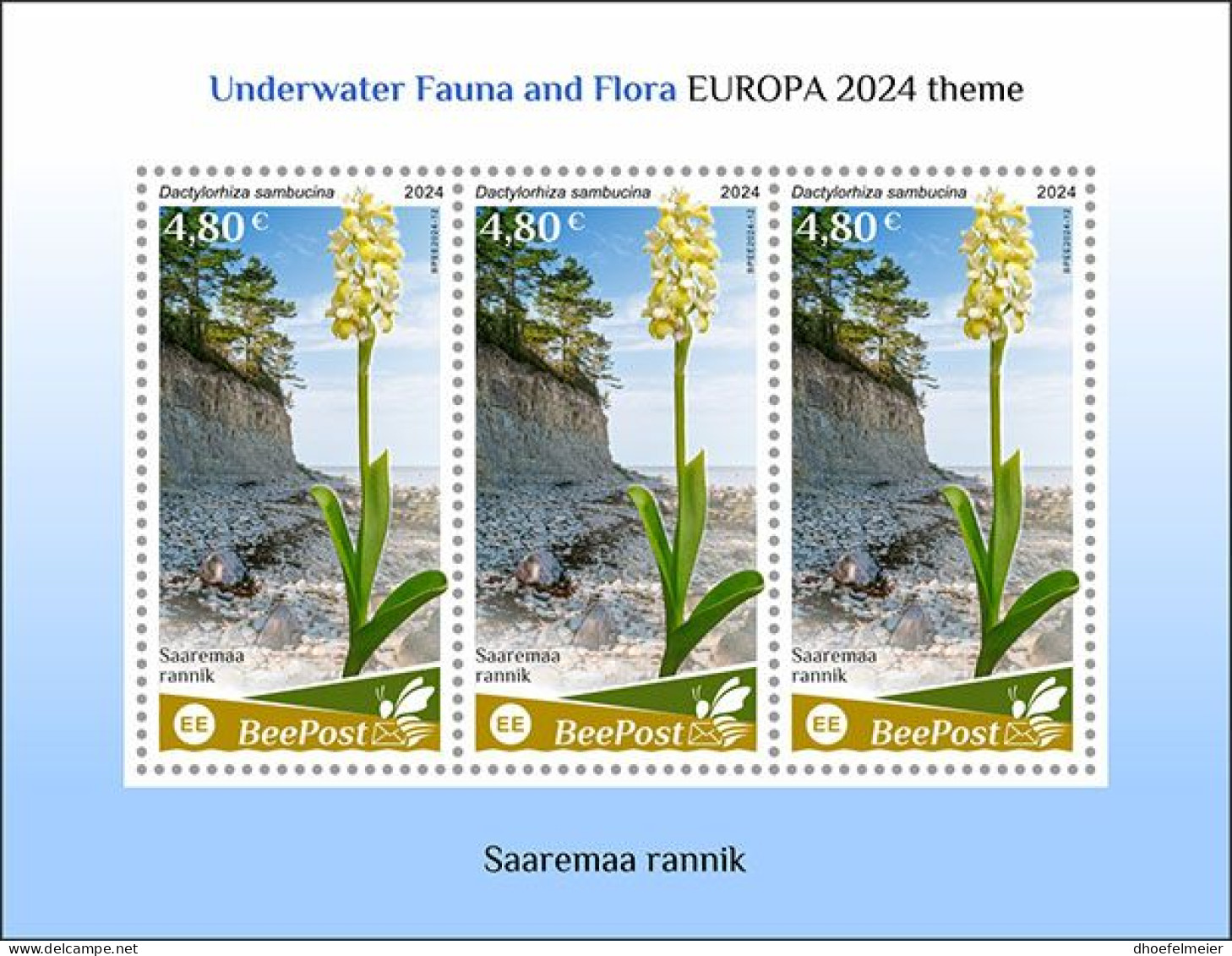 ESTONIA-BEEPOST 2024 MNH Flowers Blumen Dactylorhiza Sambucina M/S – PRIVATE OPERATOR – DHQ2417 - Sonstige & Ohne Zuordnung