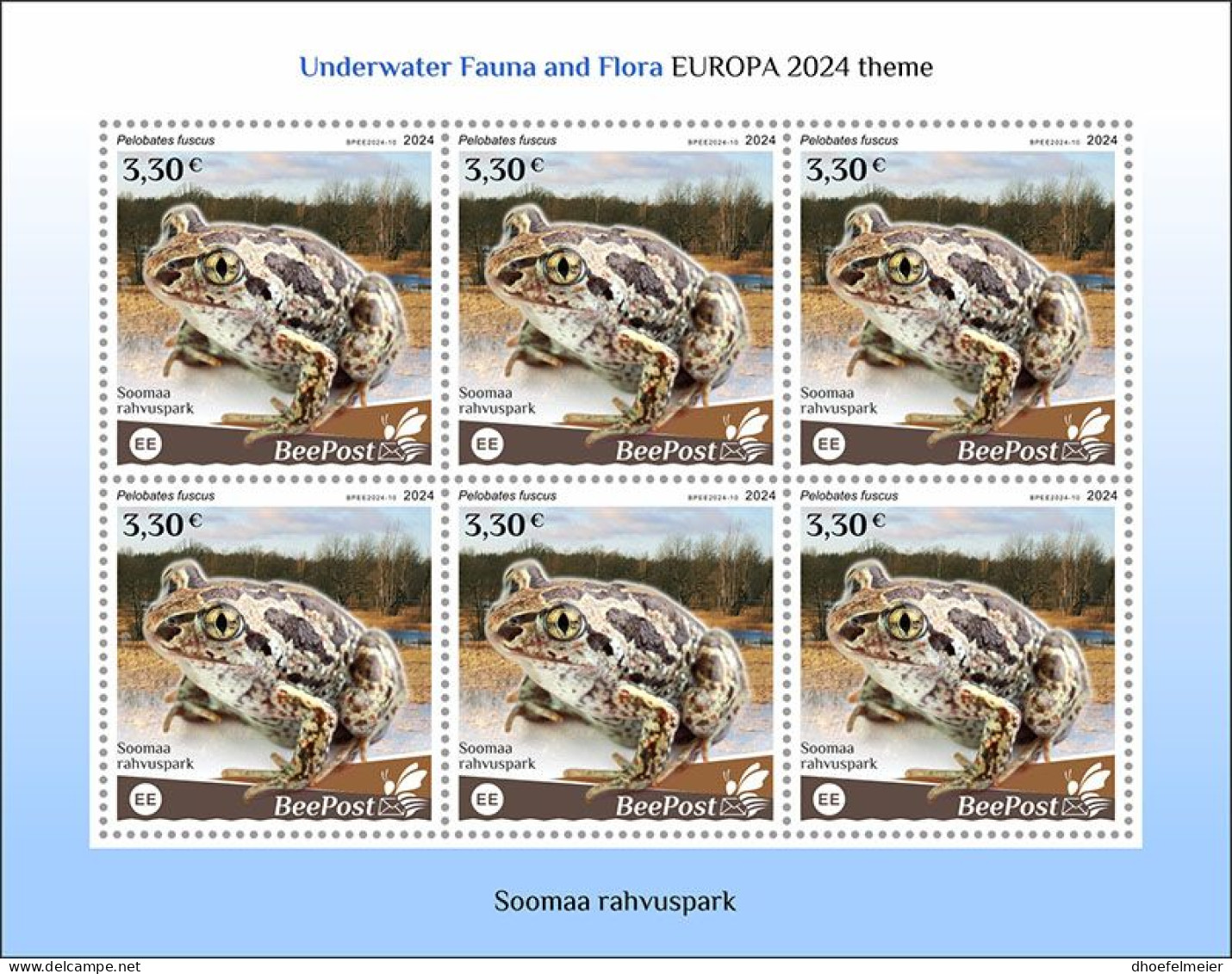 ESTONIA-BEEPOST 2024 MNH Frogs Frösche Pelobates Fuscus M/S – PRIVATE OPERATOR – DHQ2417 - Frogs
