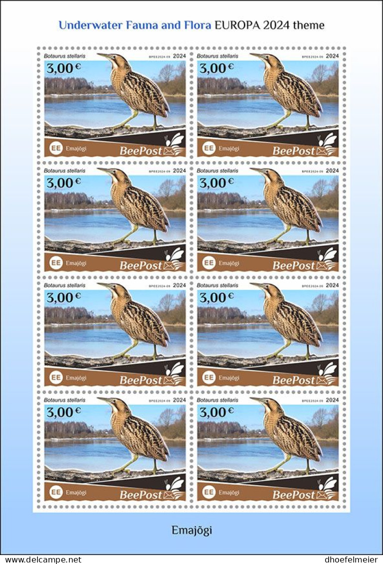 ESTONIA-BEEPOST 2024 MNH Birds Vögel Emajogi Botaurus Stellaris M/S – PRIVATE OPERATOR – DHQ2417 - Andere & Zonder Classificatie