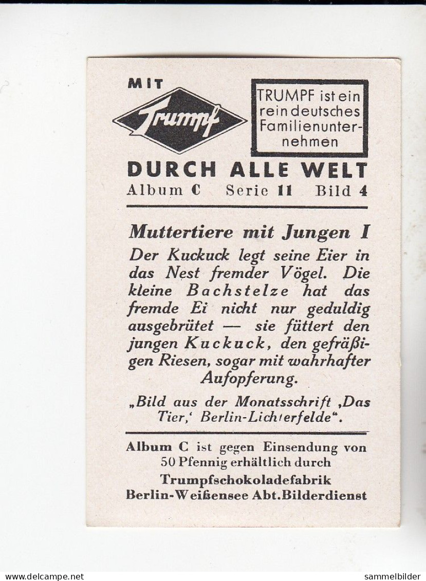 Mit Trumpf Durch Alle Welt Muttertiere Mit Jungen I Bachstelze      C Serie 11 # 4 Von 1934 - Otras Marcas