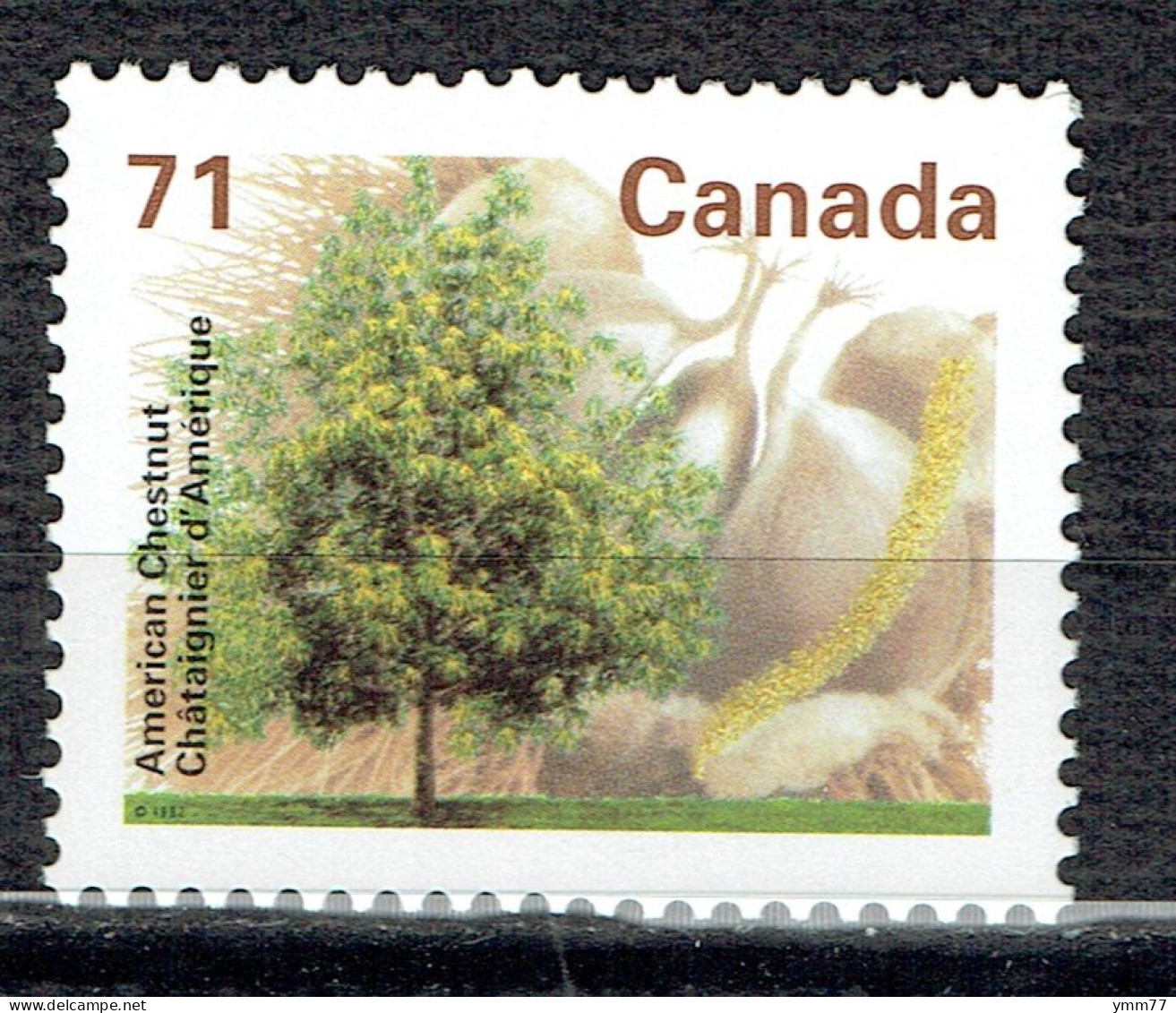 Arbres Fruitiers Du Canada : Chataignier - Unused Stamps