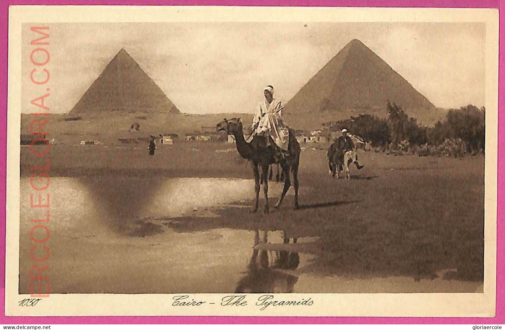 Ag2978 - EGYPT - VINTAGE POSTCARD - Cairo - Caïro