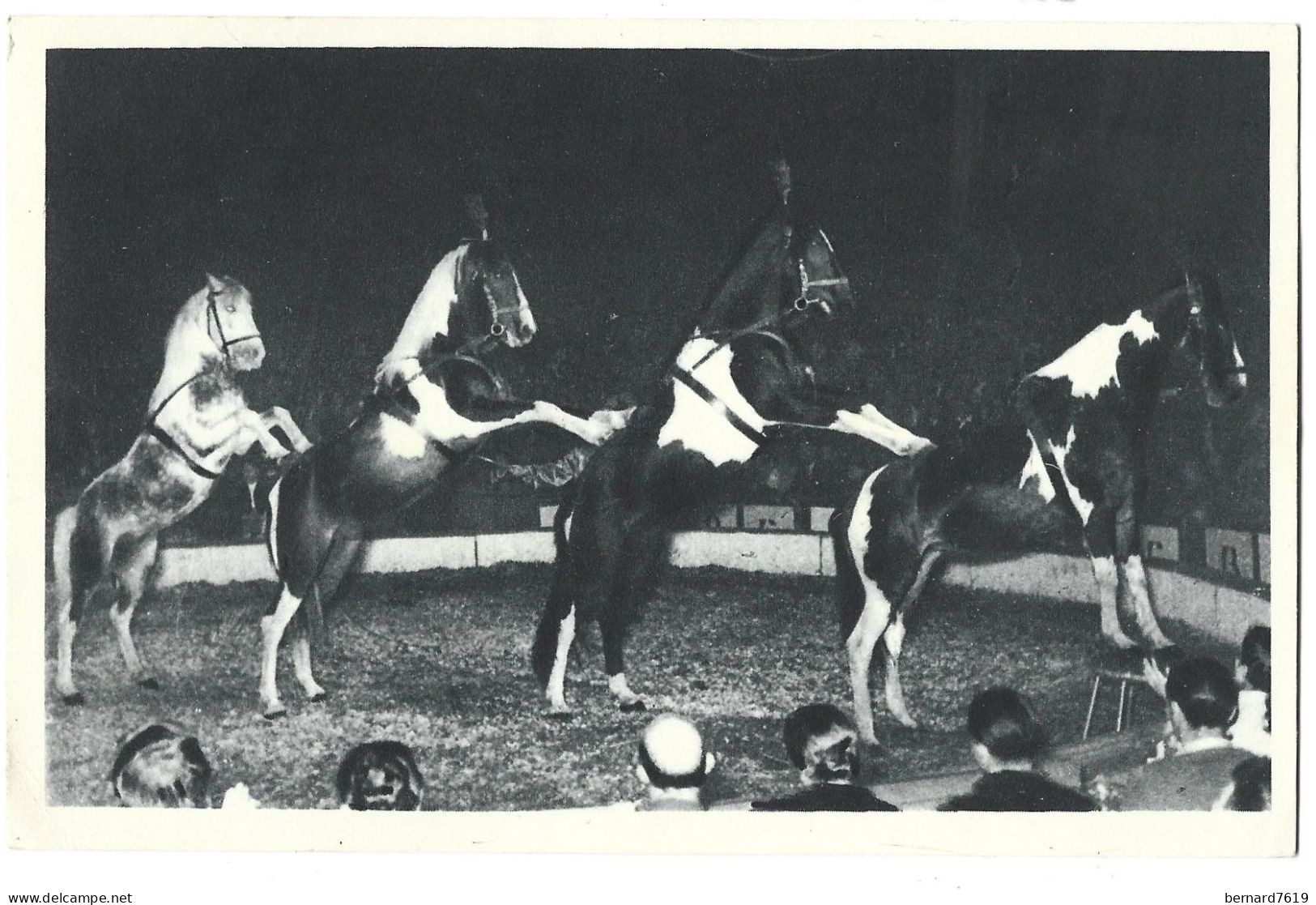 Cirque -   La Pyramide  A Quatre Chevaux  Presente Par Le Maitre Ecuyer  Al Gruss - Circo