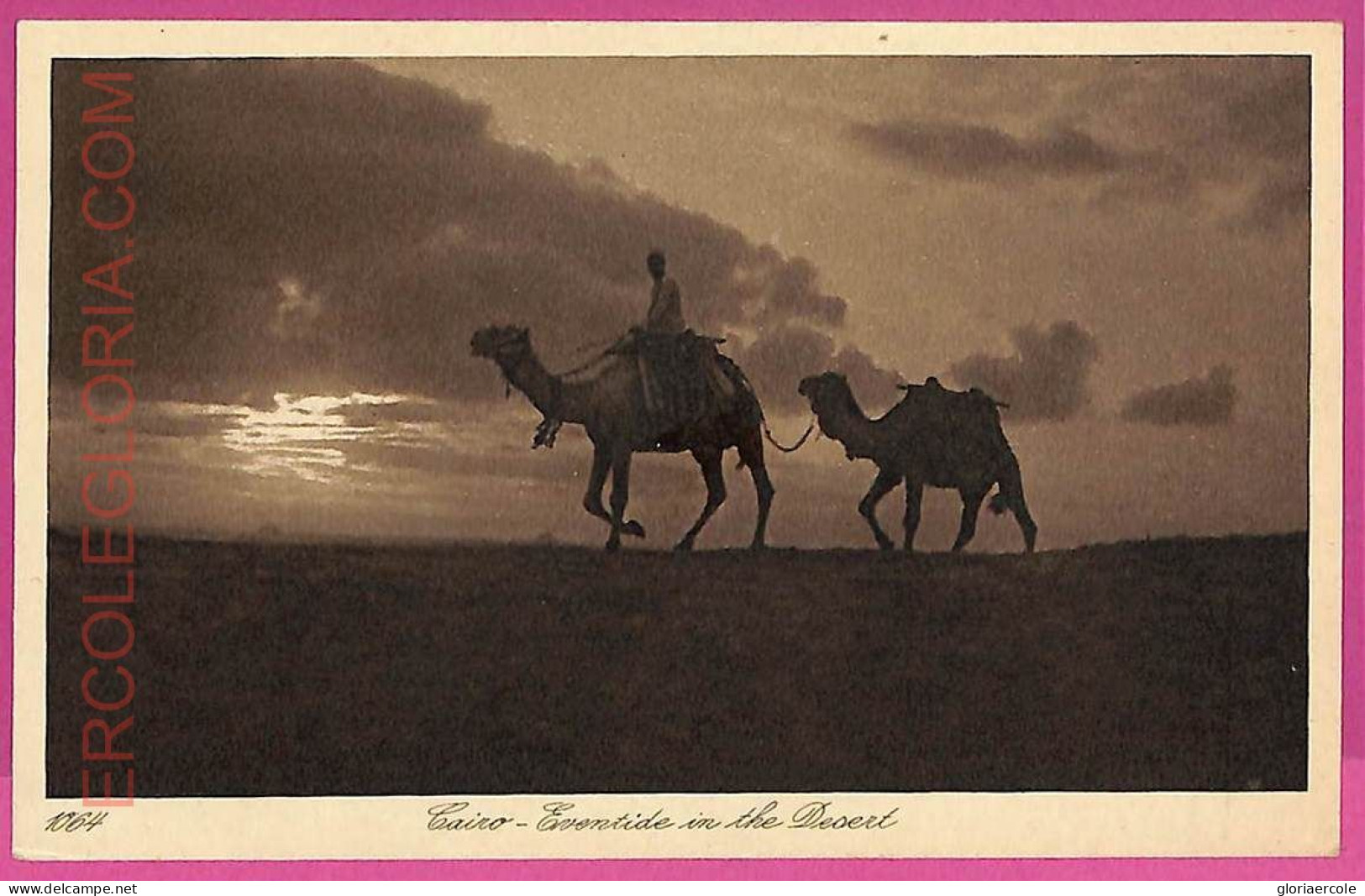 Ag2980 - EGYPT - VINTAGE POSTCARD - Cairo - Le Caire