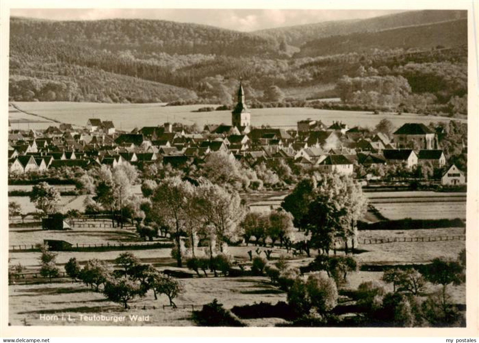 73886645 Horn Lippe Ortsansicht Teutoburger Wald Horn Lippe - Bad Meinberg