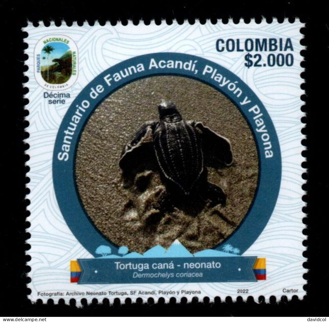 15G-KOLUMBIEN - 2022  MNH – CANA TURTLE (DERMOCHELYS CORIACEA) - NATIONAL PARKS, 10TH ISSUE – CARIBBEAN REGION - Kolumbien