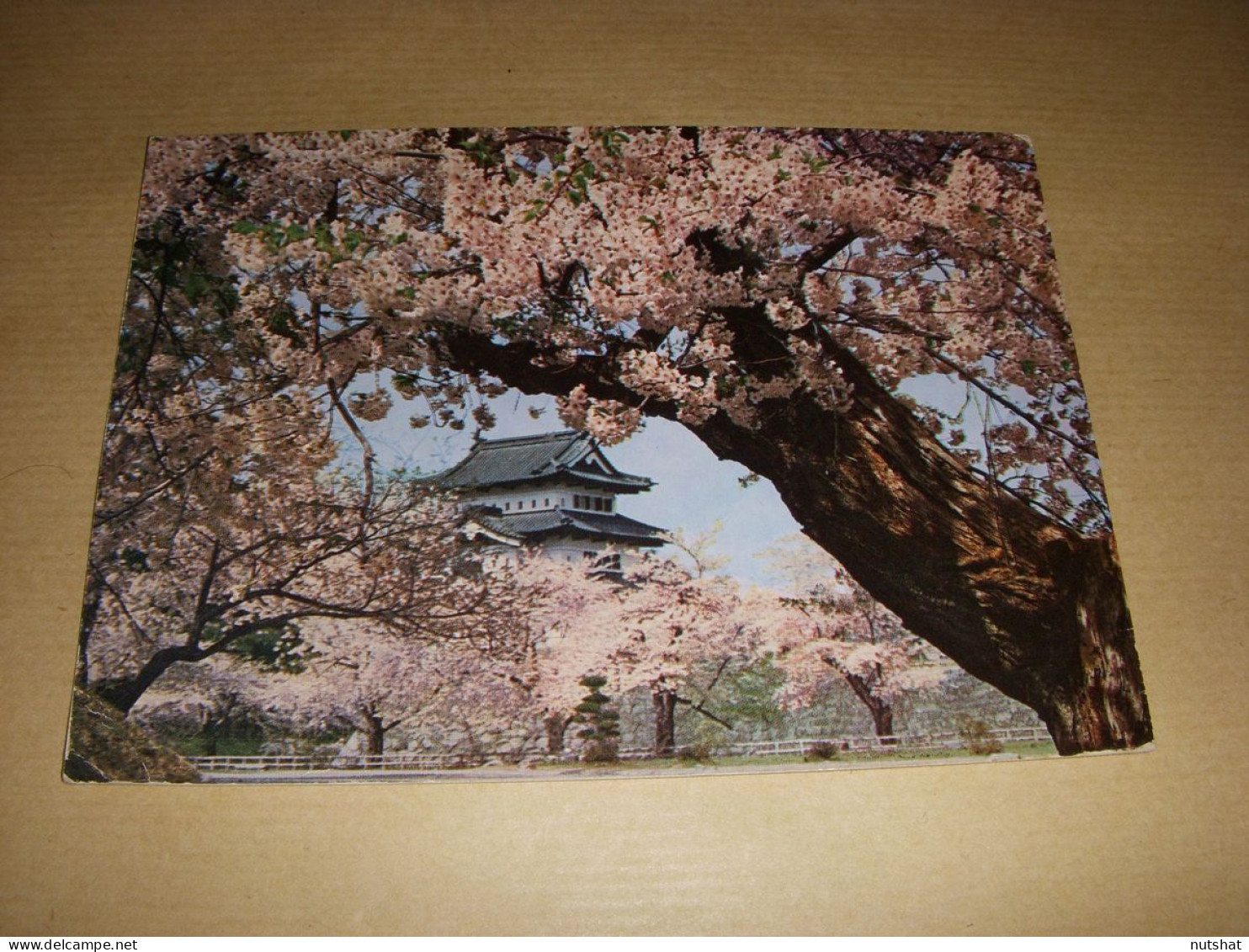 CP CARTE POSTALE ASIE JAPON HIROSAKI CASTLE FLEURS De CERISIERS - ECRITE - Other & Unclassified