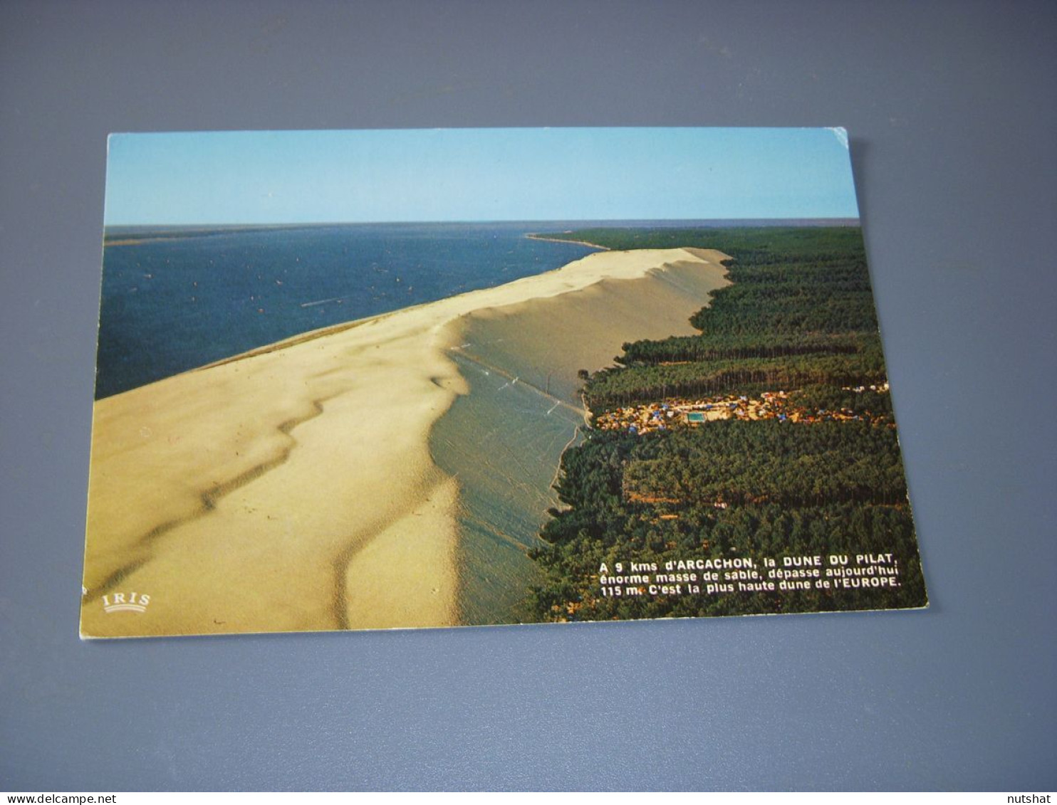 CP CARTE POSTALE GIRONDE ARCACHON La DUNE Du PILAT - Ecrite - Arcachon