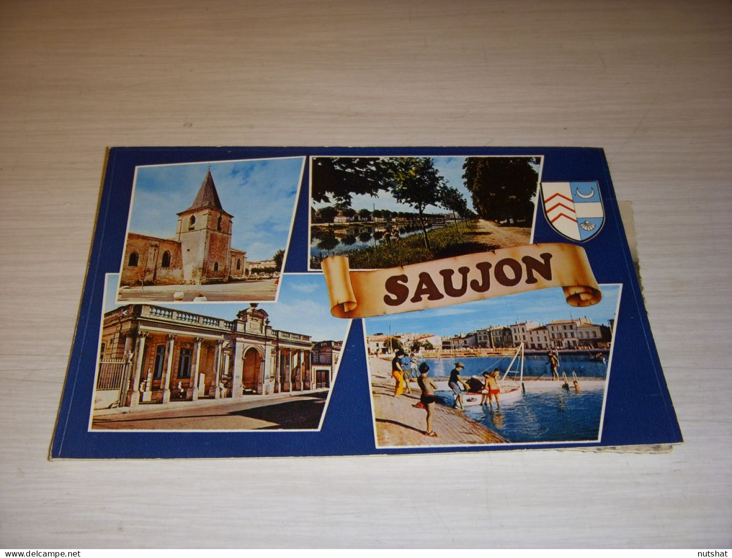 CP CARTE POSTALE CHARENTE MARITIME SAUJON - ECRITE En 1979 - Saujon