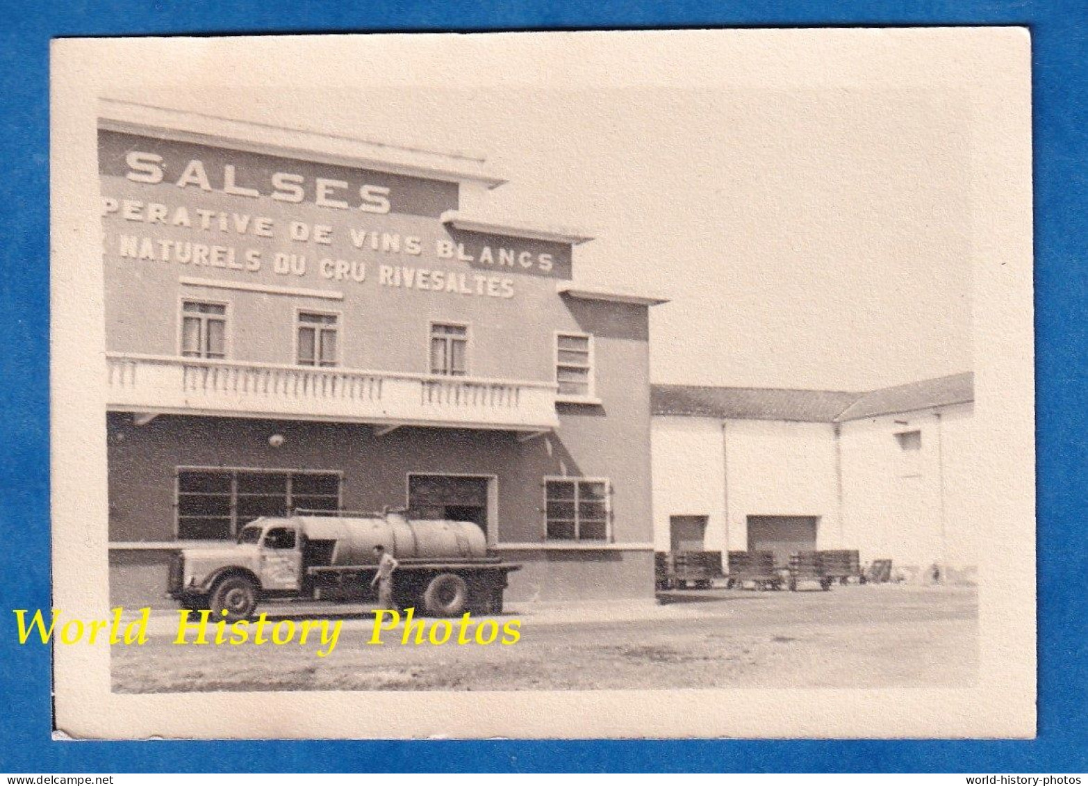 Photo Ancienne Snapshot - SALSES - Coopérative De Vins Blancs Du Cru Rivesaltes - Camion Citerne - Modèle à Identifier - Automobile