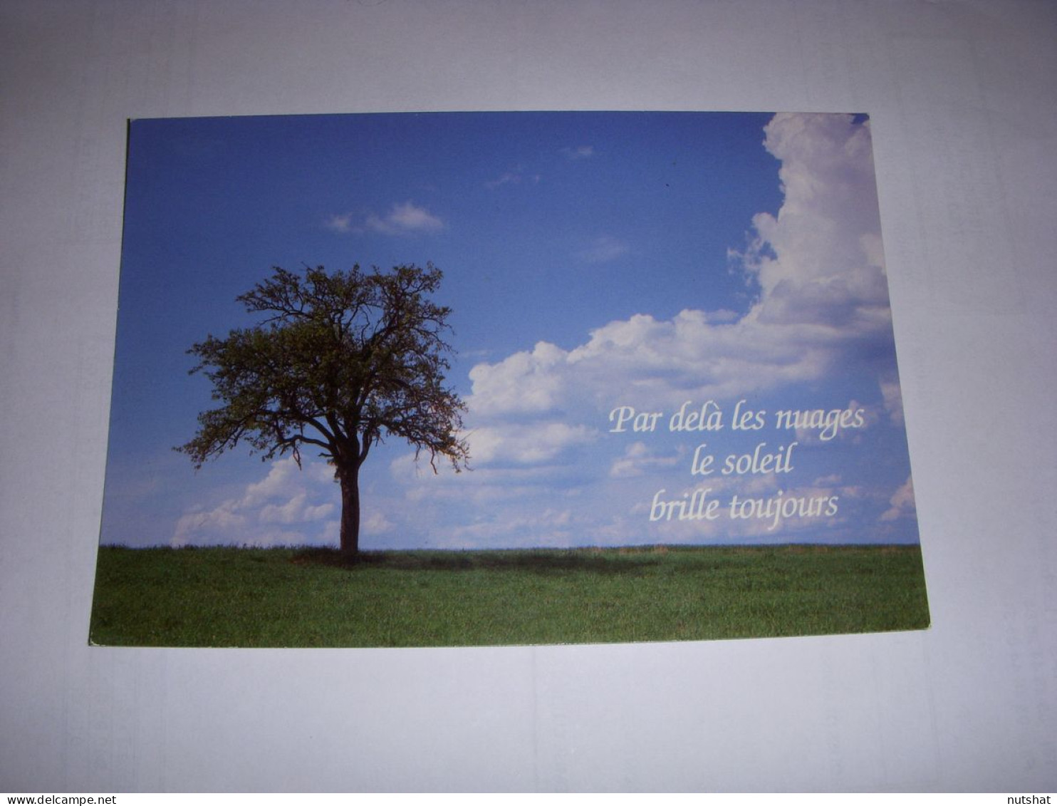CP CARTE POSTALE MESSAGE ARBRE Et CIEL NUAGEUX Par Dela Les Nuages... ECRITE - Trees