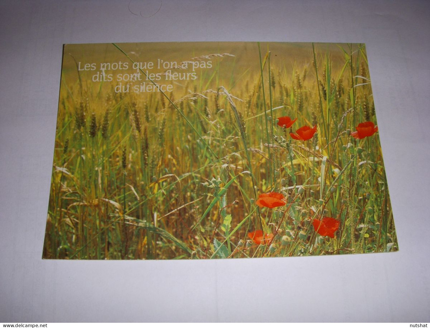 CP CARTE POSTALE MESSAGE CHAMP De FLEURS Les Mots Que L'on A Pas Dits... ECRITE - Flowers