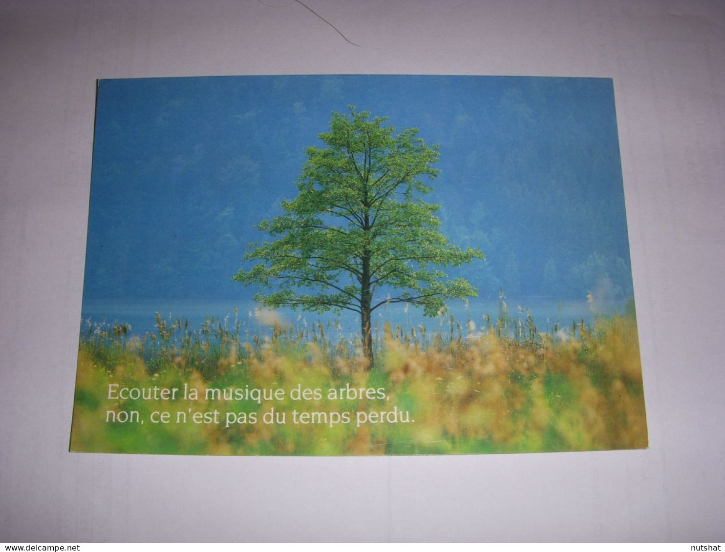 CP CARTE POSTALE MESSAGE ARBRE Ecouter La Musique Des Arbres... ECRITE - Árboles