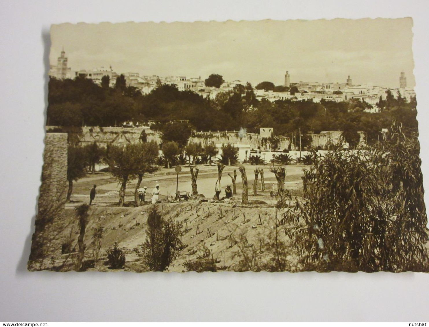 CP CARTE POSTALE MAROC MEKNES VUE PARTIELLE De La VILLE - Vierge - Meknes