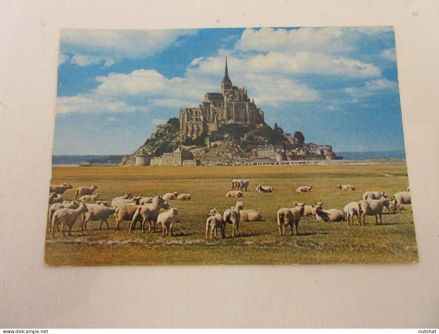 CP CARTE POSTALE MANCHE MONT SAINT MICHEL Les PATURAGES - Ecrite En 1982    - Le Mont Saint Michel